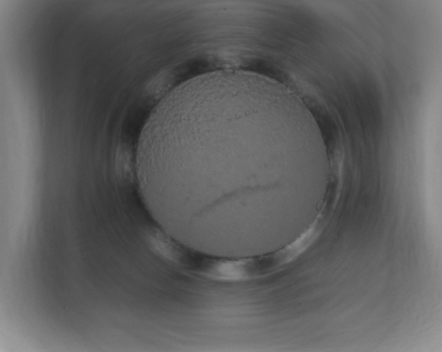 X0000111250178200907021438