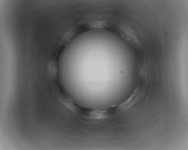 X0000111250179200907021438