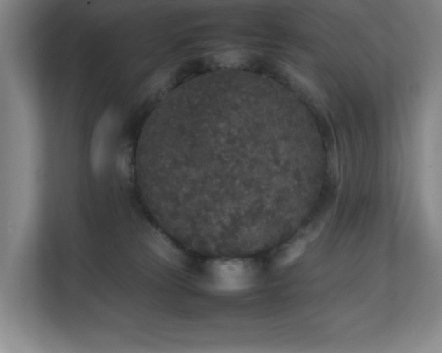 X0000111250181200907021438