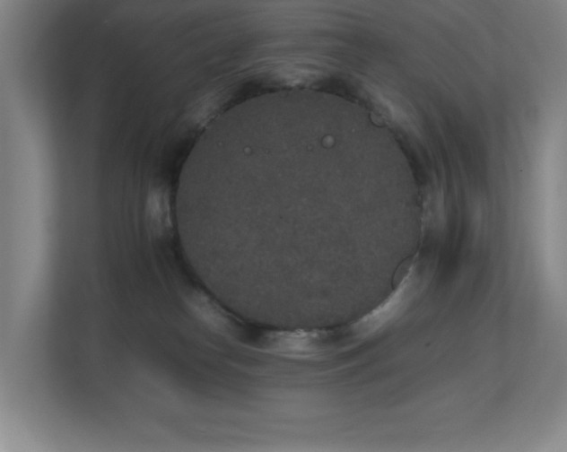 X0000111250182200907021438