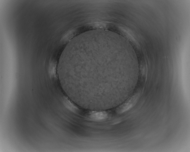 X0000111250185200907021438