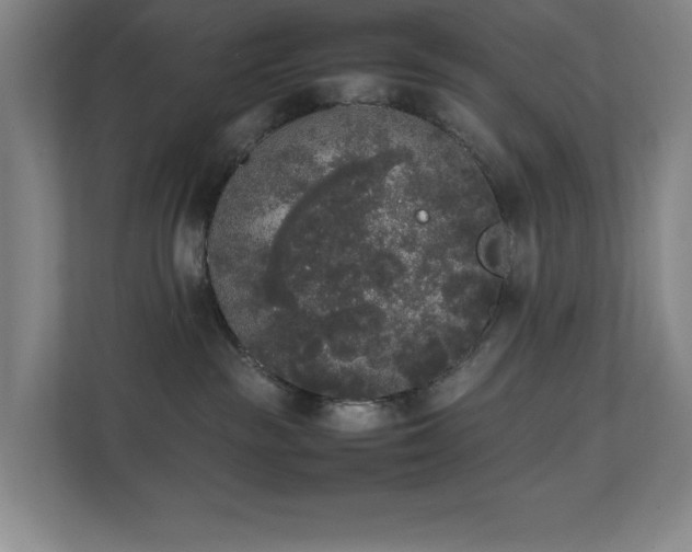 X0000111250189200907021438