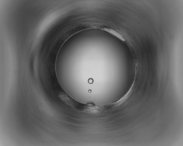 X0000111250190200907021438