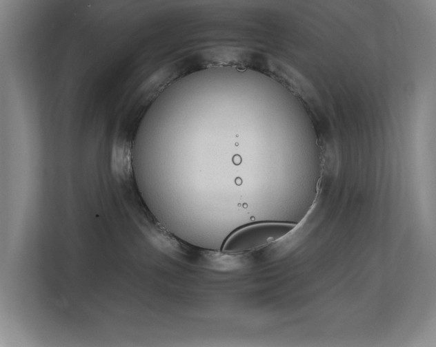X0000111250191200907021438