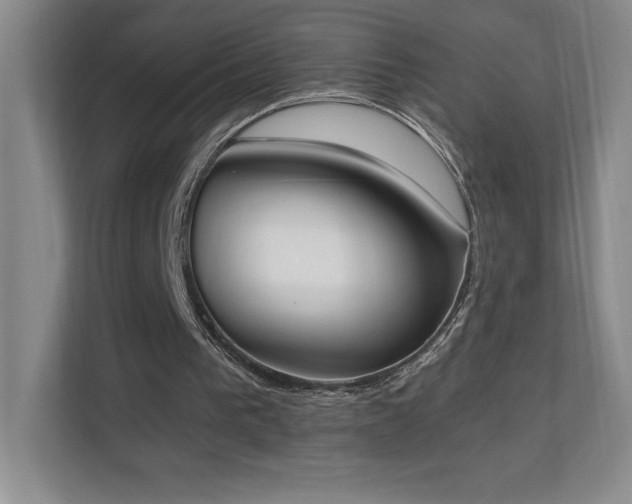 X0000111250193200907021438