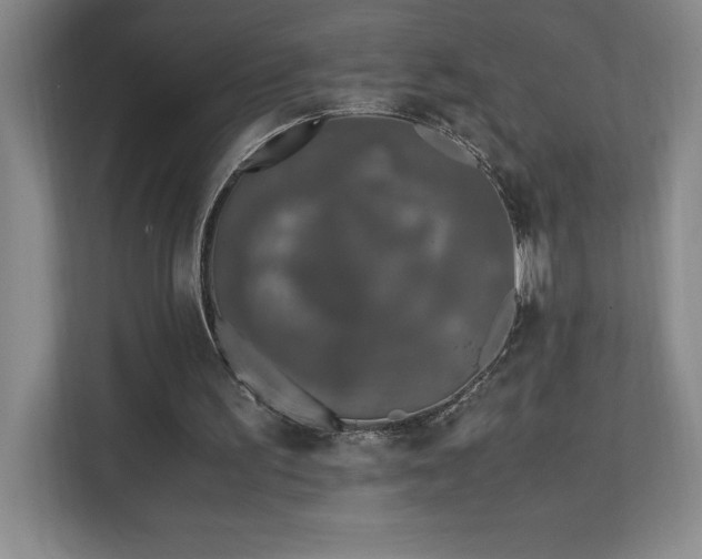 X0000111250195200907021438
