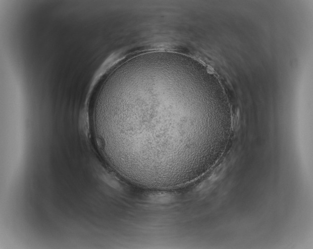 X0000111250198200907021438