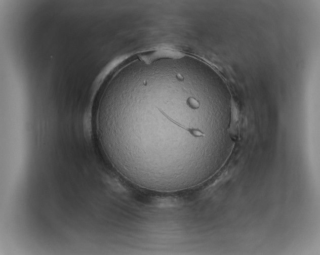 X0000111250200200907021438
