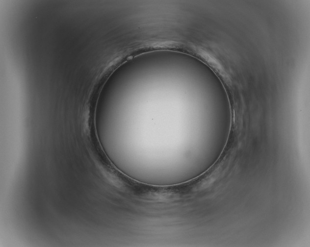 X0000111250201200907021438