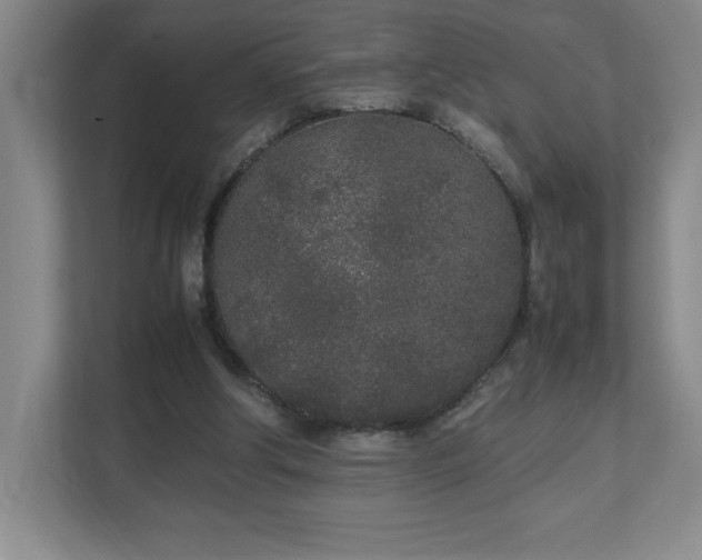 X0000111250202200907021438