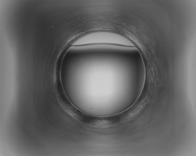 X0000111250203200907021438