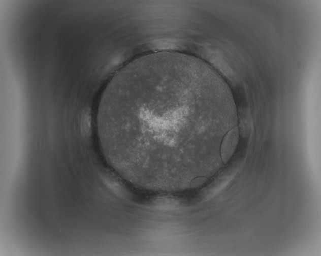 X0000111250207200907021438