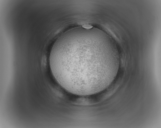 X0000111250211200907021438