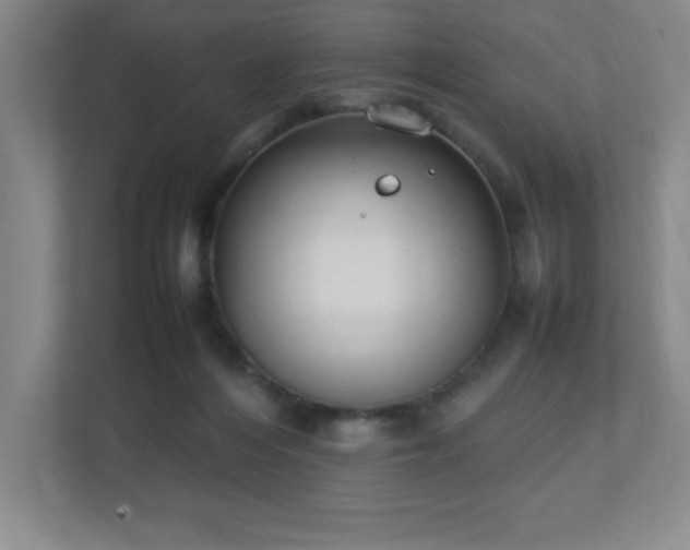 X0000111250216200907021438