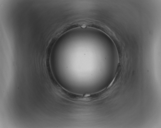X0000111250217200907021438