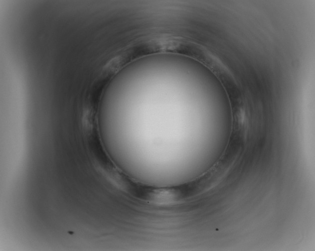 X0000111250218200907021438