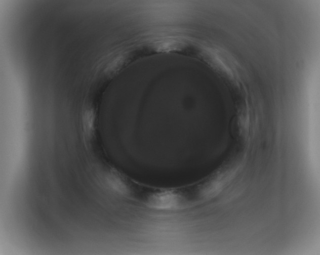 X0000111250219200907021438