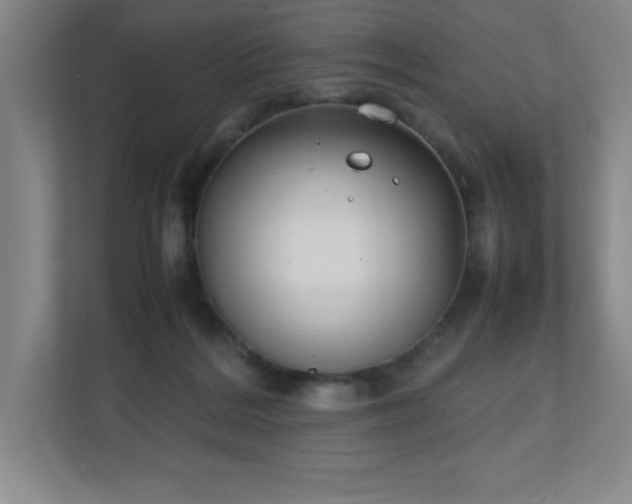 X0000111250220200907021438