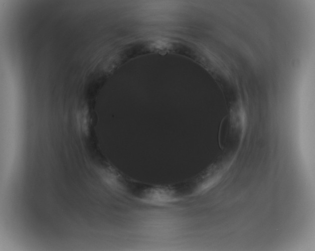 X0000111250223200907021437