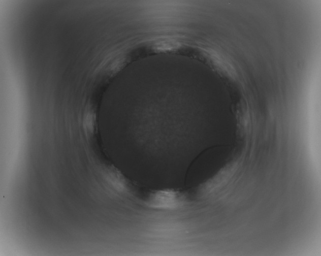 X0000111250227200907021437