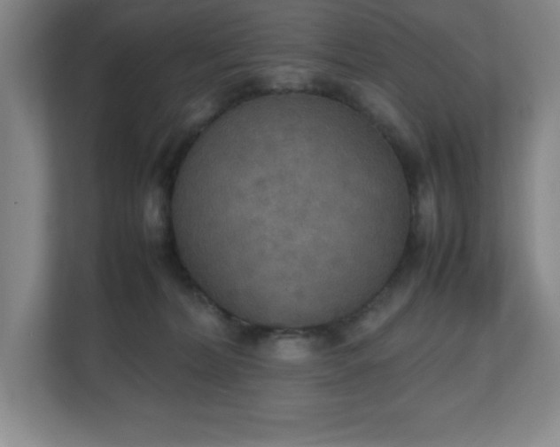 X0000111250228200907021437