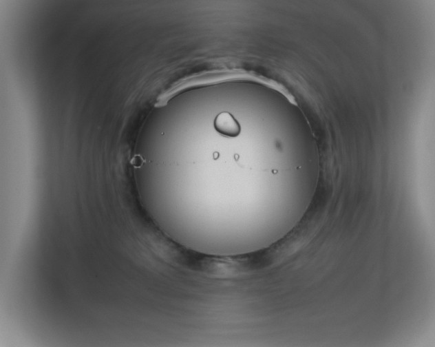 X0000111250229200907021437