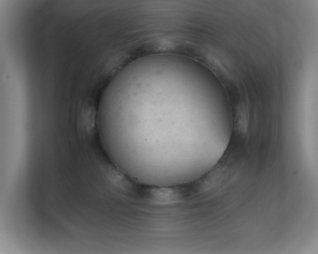 X0000111250230200907021437