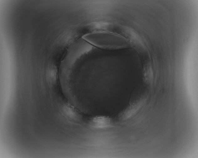 X0000111250231200907021437
