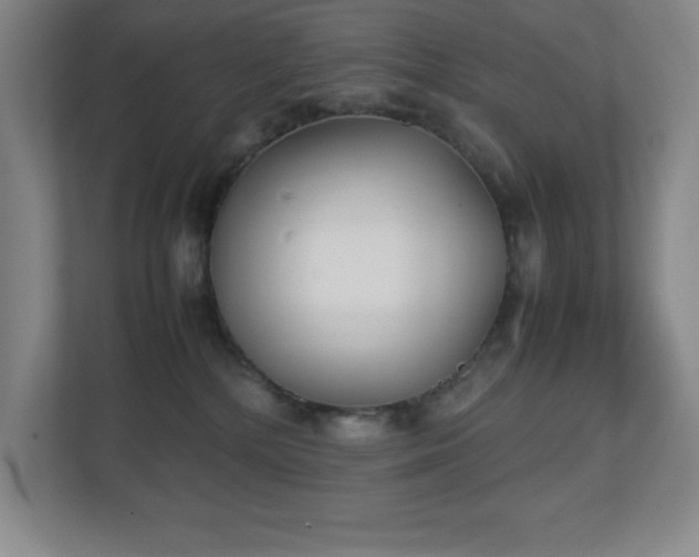 X0000111250232200907021437