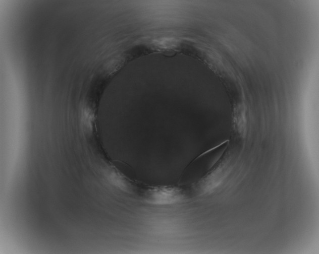 X0000111250235200907021437