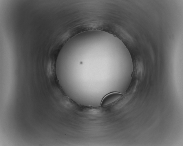 X0000111250236200907021437
