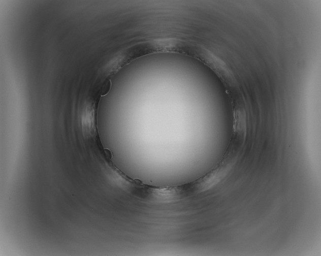 X0000111250238200907021437