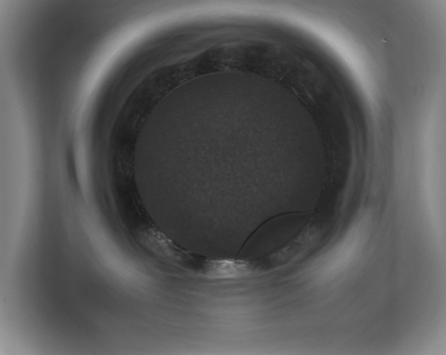 X0000111250239200907021437