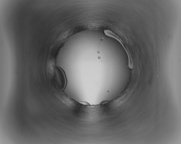 X0000111250240200907021437