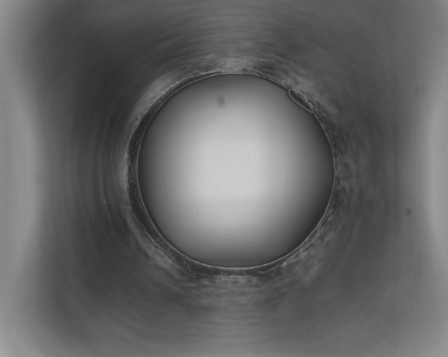 X0000111250242200907021437