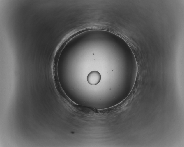 X0000111250244200907021437