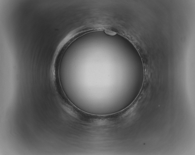 X0000111250246200907021437