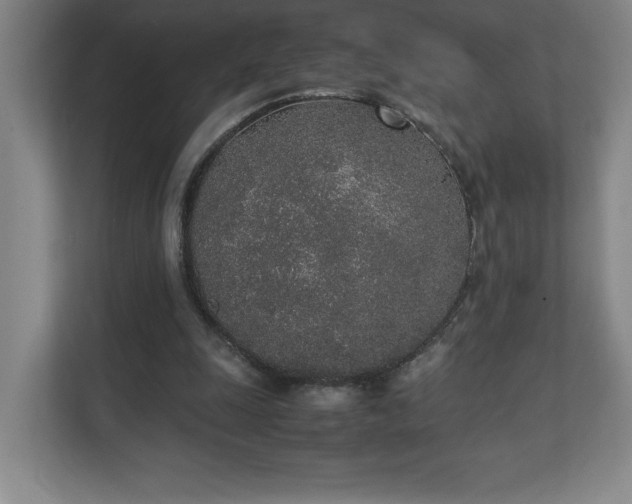 X0000111250247200907021437