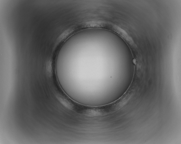 X0000111250250200907021437
