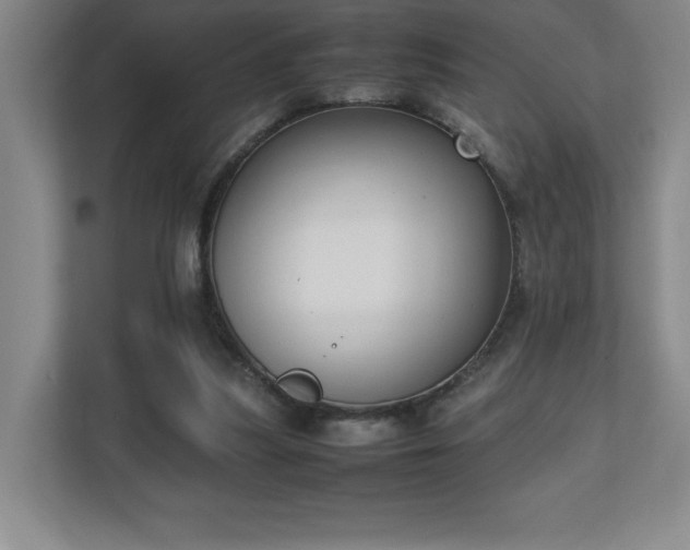 X0000111250251200907021437