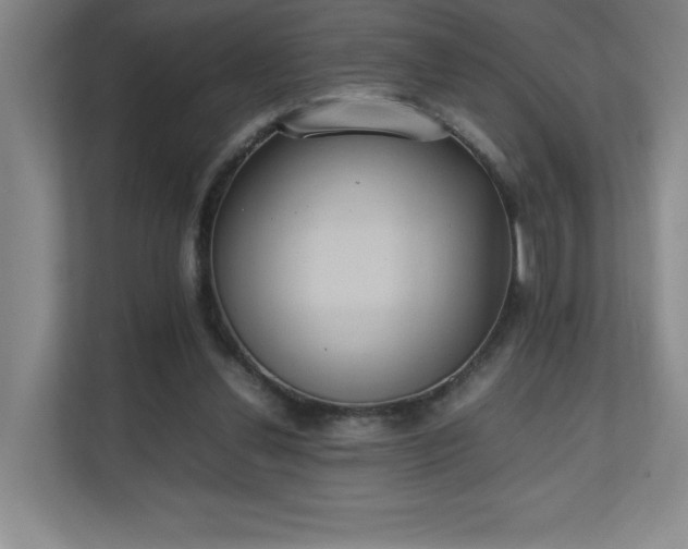 X0000111250252200907021437