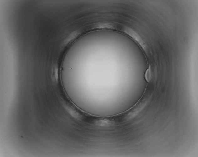 X0000111250253200907021437