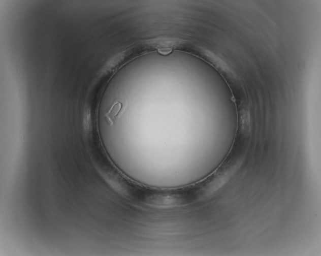 X0000111250254200907021437