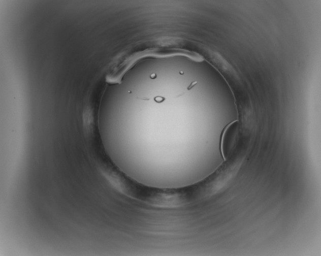 X0000111250260200907021437