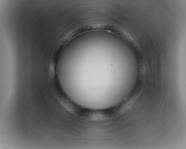 X0000111250262200907021437