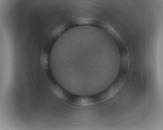 X0000111250264200907021437