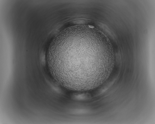 X0000111250267200907021437