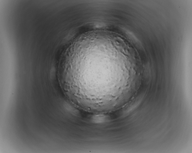 X0000111250269200907021437