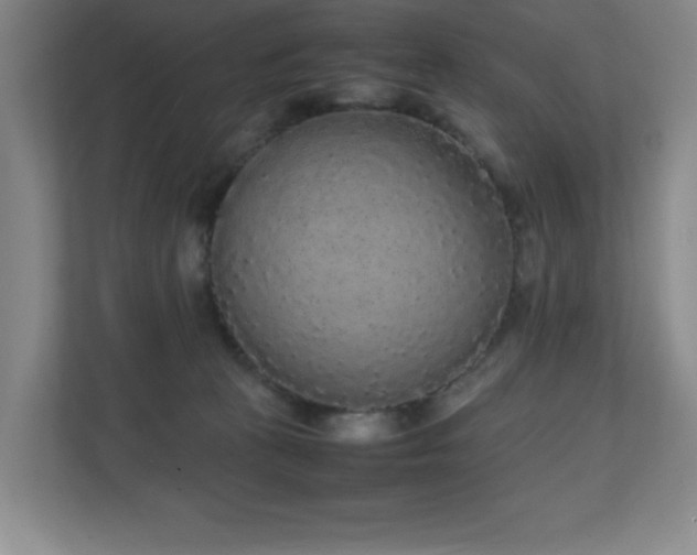 X0000111250273200907021437