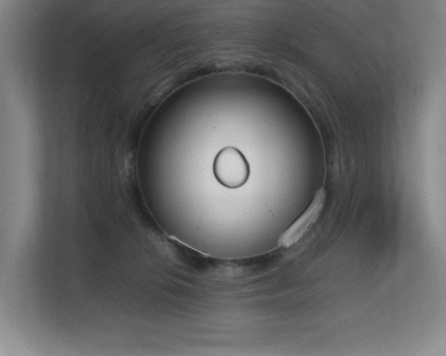 X0000111250276200907021437
